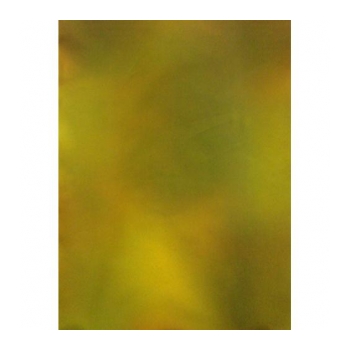 BOTERO TC3037-42 Fundo infinito tecido 300x370 verde/laranja mesclado