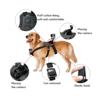 AODOOR PET  Suporte para conexão de câmeras de ação em cães 