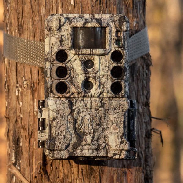 BUSHNELL CORE DS-4K Câmera camuflada para trilha e gravação de animais - foto 5